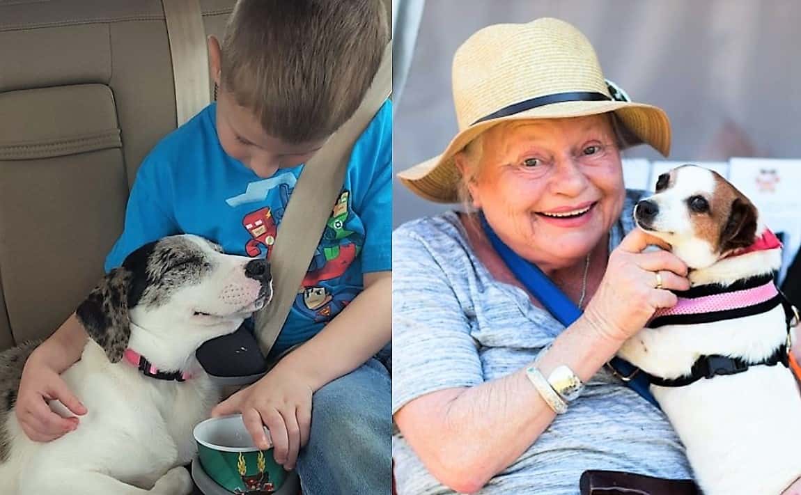 20 Heartwarming Moments Of People And Their Dogs Meeting For The First Time