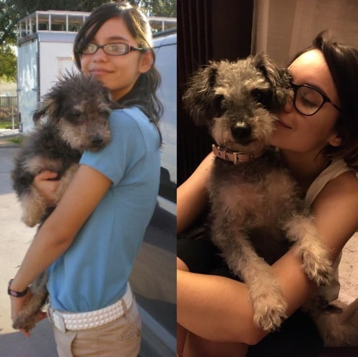 Before And After