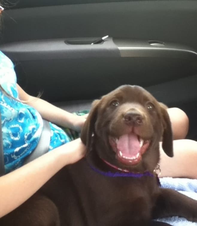 That Smile