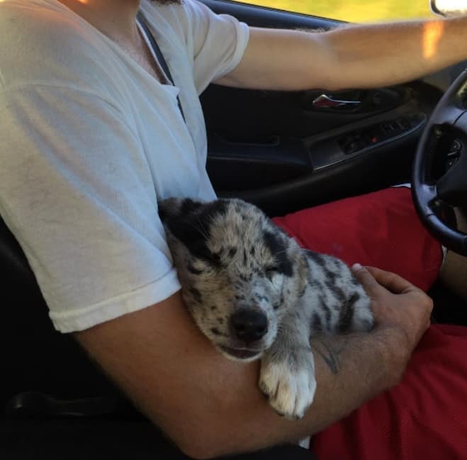 Never Let Go